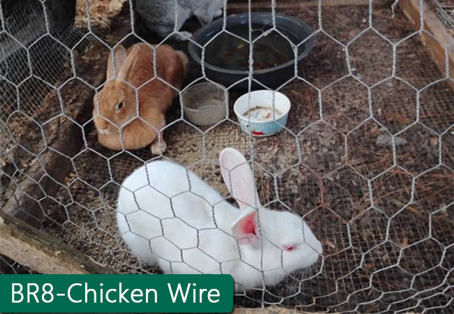 Chicken wire