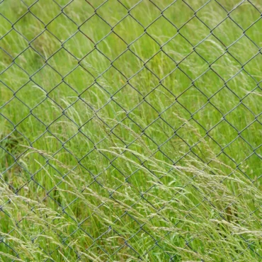 Chain Link Fence