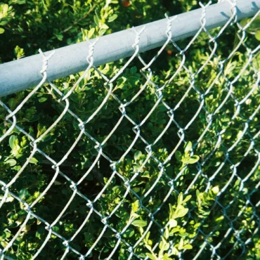 Chain Link Fence