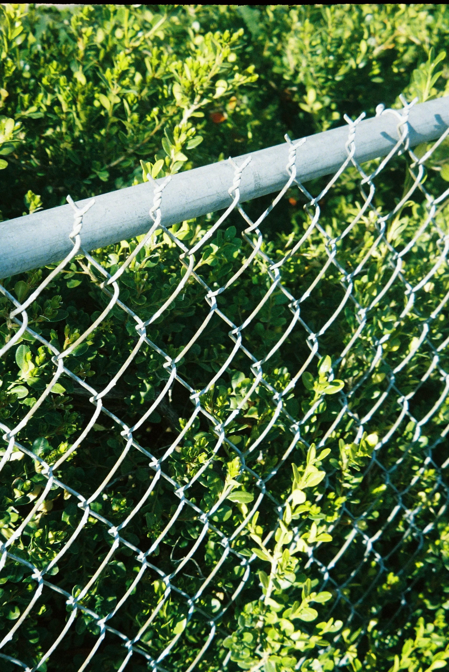 Chain Link Fence