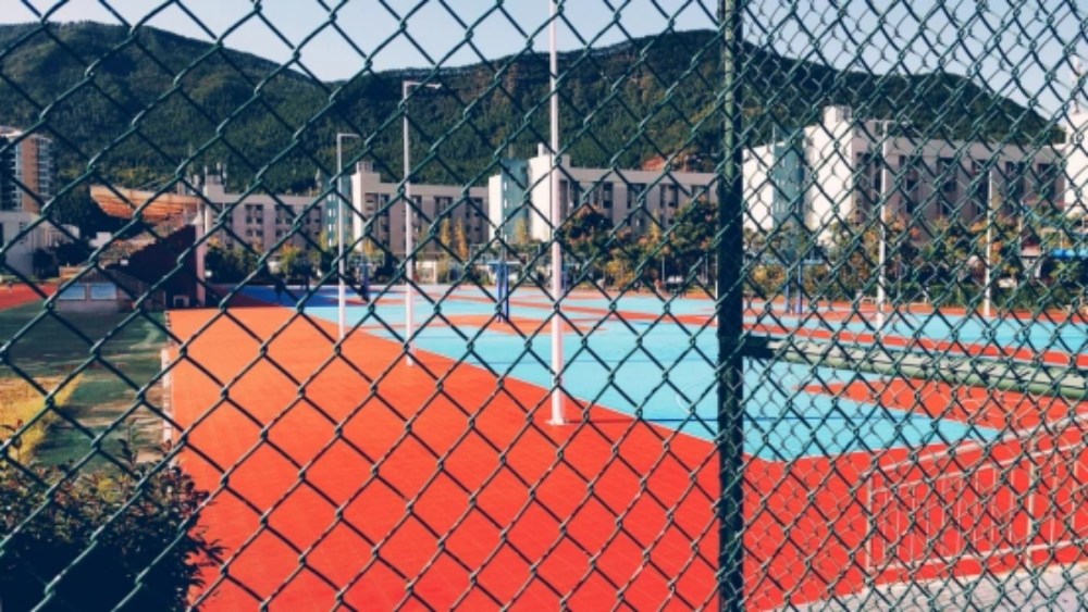 Chain Link Fence