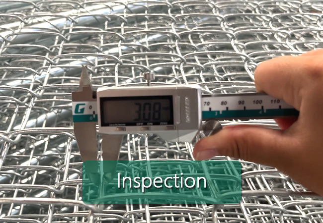 Inspection-Video cover